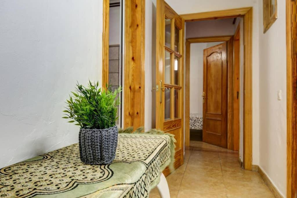 7 Pax Montserrat Ramblas Barcelona Barselona Dış mekan fotoğraf